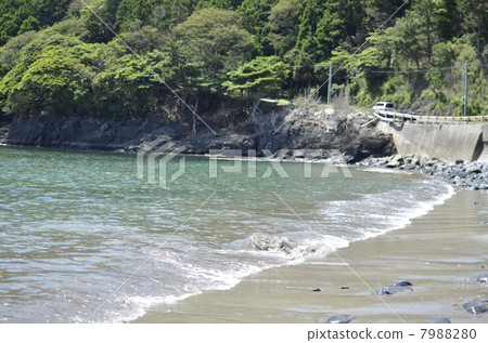 Hamagurihama 7988280