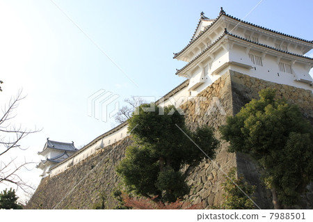 Himeji castle   7988501