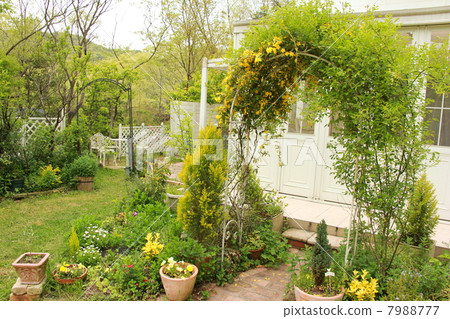 Early summer garden with conservatory Early summer garden with conservatory 7988777