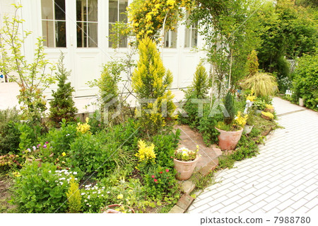 Early summer garden with conservatory 7988780