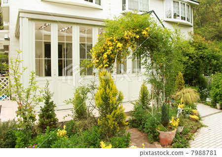 Early summer garden with conservatory 7988781