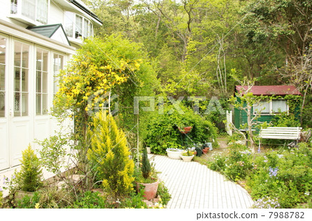 Early summer garden with conservatory 7988782