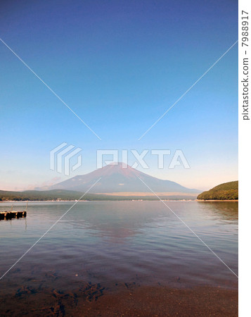 山中湖的富士山 7988917