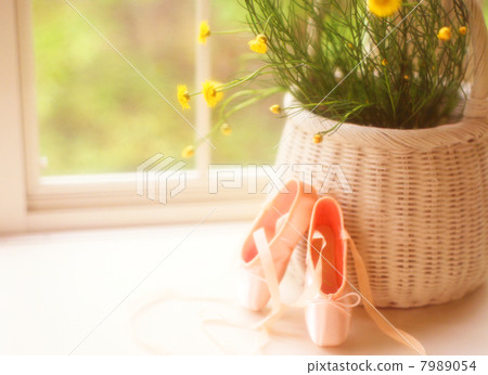 芭蕾舞鞋 7989054