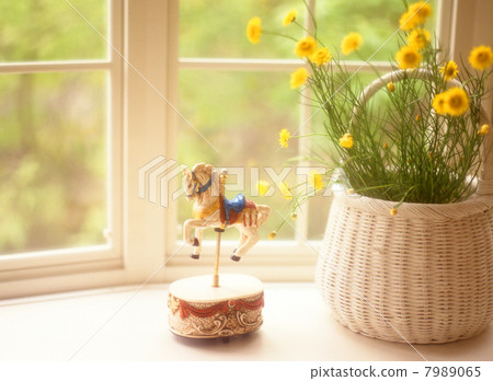 The horse's music box The horse's music box 7989065