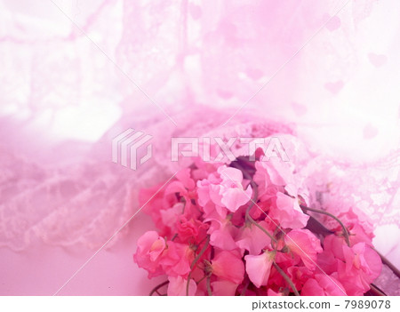 花圖像 花圖像 7989078