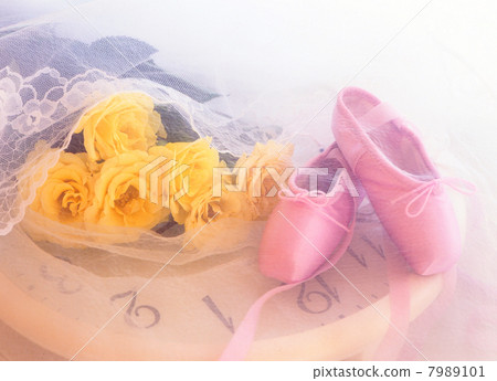 芭蕾舞鞋 7989101