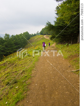 Climbing path (Seven Ishiyama - stone ridge in the cloud division) and two climbers 7989113