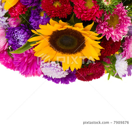 autumn flowers border autumn flowers border 7989876