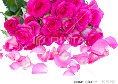 fresh pink roses bouquet with petals fresh pink roses bouquet with petals 7989890