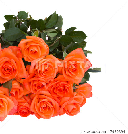 bouquet of orange roses close up bouquet of orange roses close up 7989894