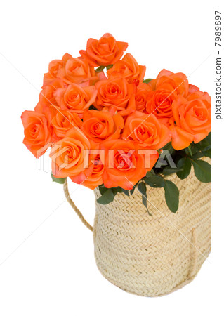 orange roses in basket 7989897