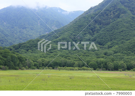 Odagihara hiking 7990003