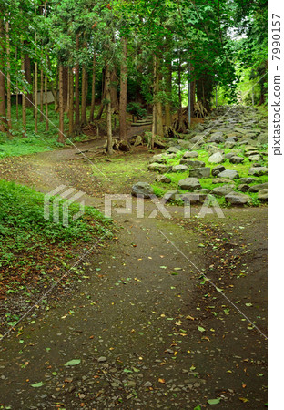 Walking in Hachinohe / Shilla Shrine entrance Walking in Hachinohe / Shilla Shrine entrance 7990157