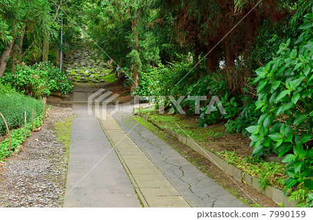 Walking in Hachinohe / Shilla Shrine entrance 7990159