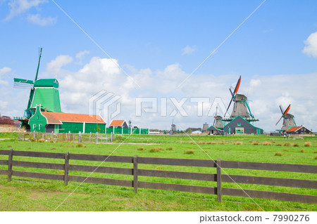 dutch windmills with in Zaanse Schans dutch windmills with in Zaanse Schans 7990276