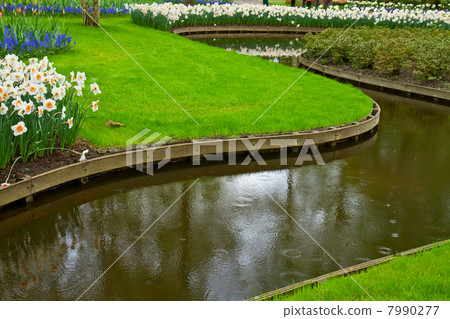 water spring in garden water spring in garden 7990277