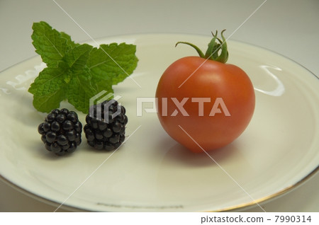 黑莓和西紅柿 黑莓和西紅柿 7990314