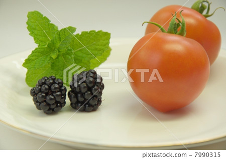 黑莓和西紅柿 黑莓和西紅柿 7990315