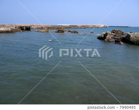Black Sea Coast Black Sea Coast 7990495