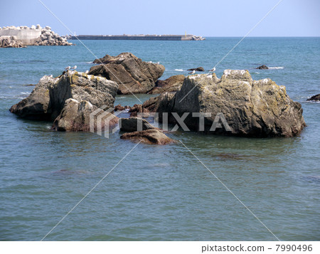 Black Sea Coast Black Sea Coast 7990496