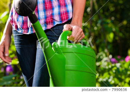Woman in garden with watering can in hand 7990636