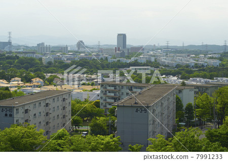 多摩新城全景 多摩新城全景 7991233