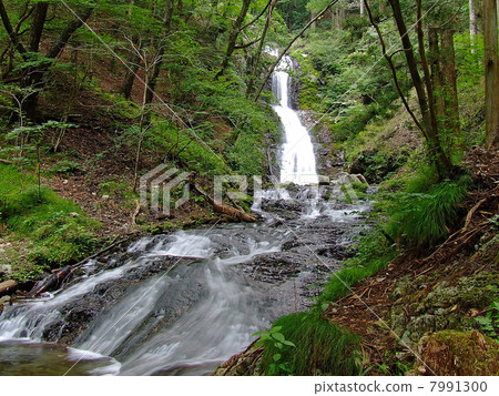 Nikko Shi Yakko Waterfall Nikko Shi Yakko Waterfall 7991300
