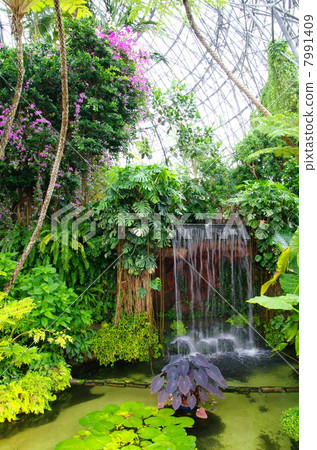 Tropical botanical garden 7991409