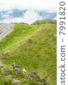 Mountain climbers enjoying shooting at the summit of Nikko Shirane volcano 7991820
