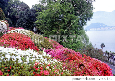 Lake Como Lake Gardens Lake Como Lake Gardens 7992189