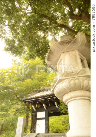 The mountain gate 7992590