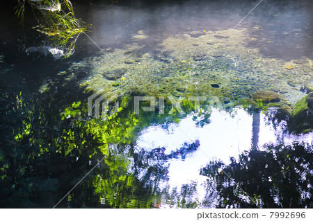 Shioi company water source Minamiaso village spring water group 7992696