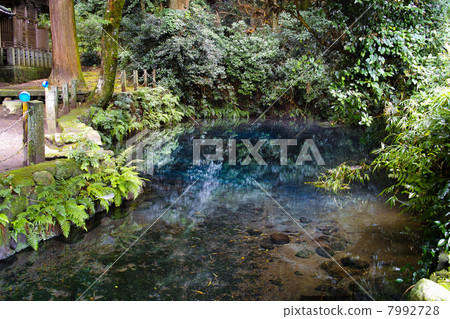 Shioi公司水源Minamiaso村泉水組 7992728