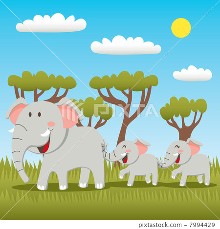 Elephant Family Elephant Family 7994429