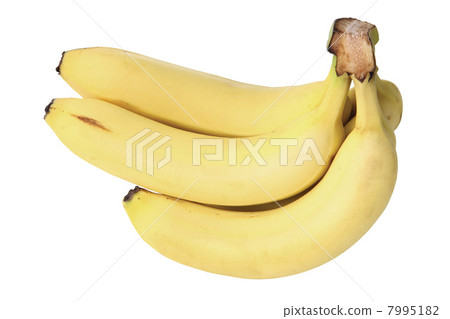 Bananas Bananas 7995182