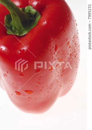 Red pepper Red pepper 7995231