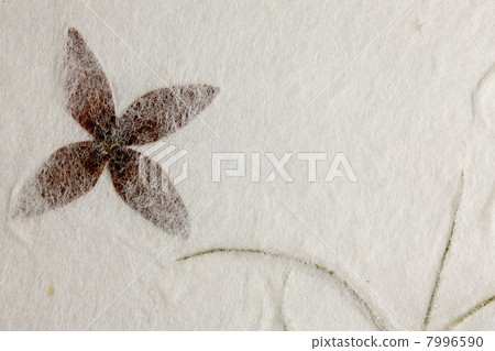 Wallpaper Wallpaper 7996590