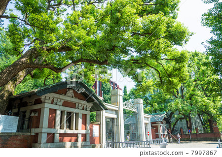 東京大學正門 7997867