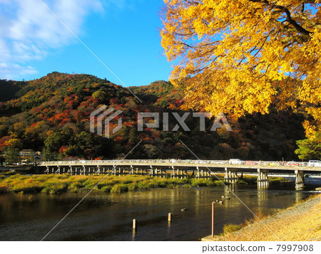 Arashiyama秋葉 7997908