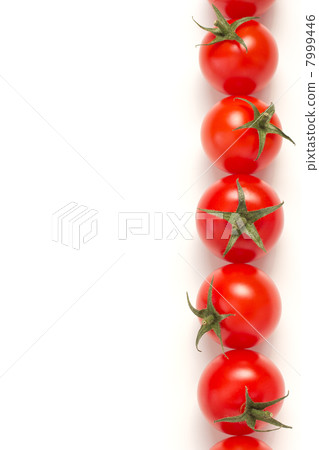  Mini Tomato 7999446