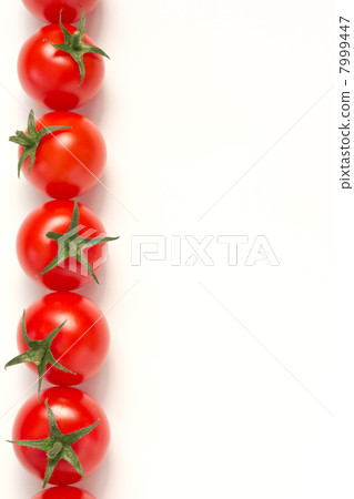  Mini Tomato 7999447