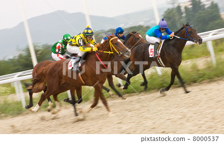 Horse racing Horse racing 8000537
