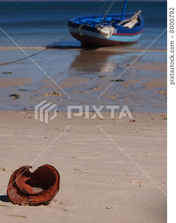 Coconut shells rolling on the beach Coconut shells rolling on the beach 8000792