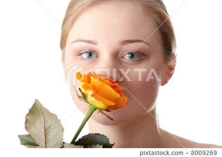 Rose Rose 8009269