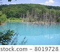 神秘的湖藍塘北海道 8019728