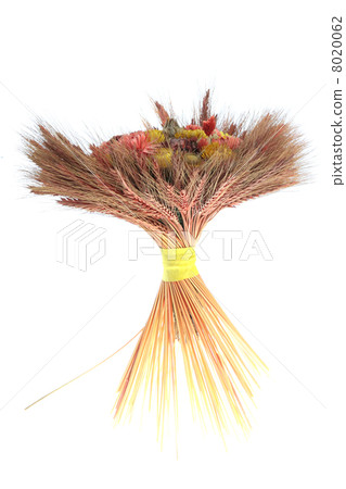 A bouquet of wheat and flowers 8020062