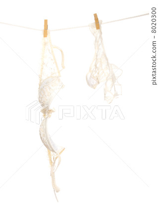 Sexy lace lingerie 8020300