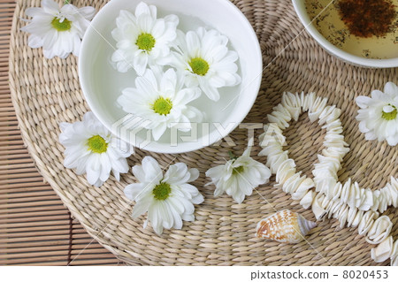Spa design Spa design 8020453