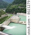 Nagashima Dam 8021279